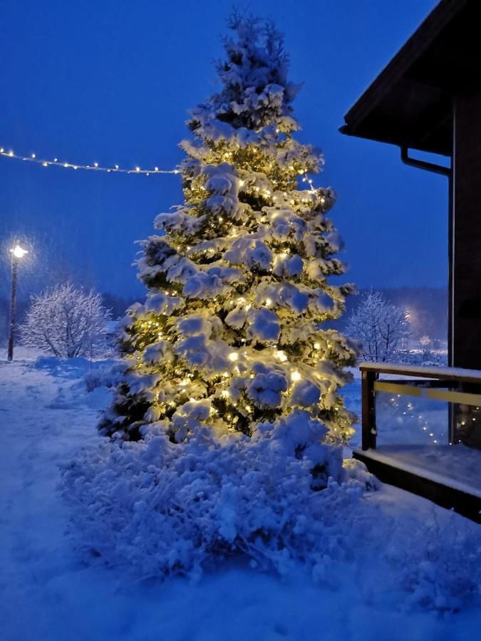 Kiurunrinne Villas Imatra Exterior photo